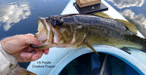 14) Wakeley Lake, Dog Day Bass and Pike, August 7