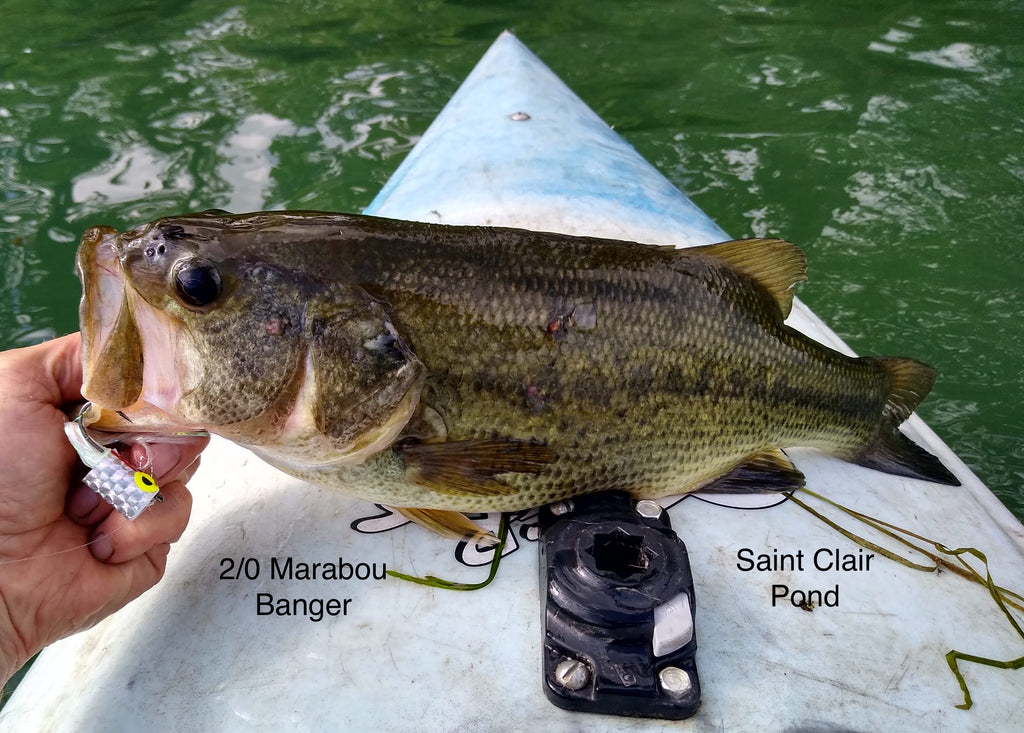 8) Bass Pond off Lake Saint Clair, Bob's Banger Popper Pattern June 12