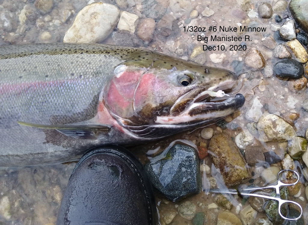 26) Steelhead on Nuke Minnow Pattern. Dec 10, 2020