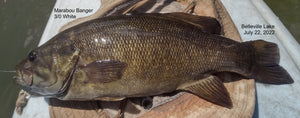 BelleVille Lake Smallmouth on Top Water July22, 2022