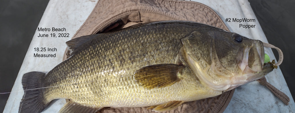 Huron Cuttof & Metropark Kayak Bass, June 19, 2022