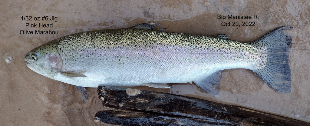 Tippy Dam Crowds, Steelhead, and Salmon on Jigs,  Octover 20, 2022