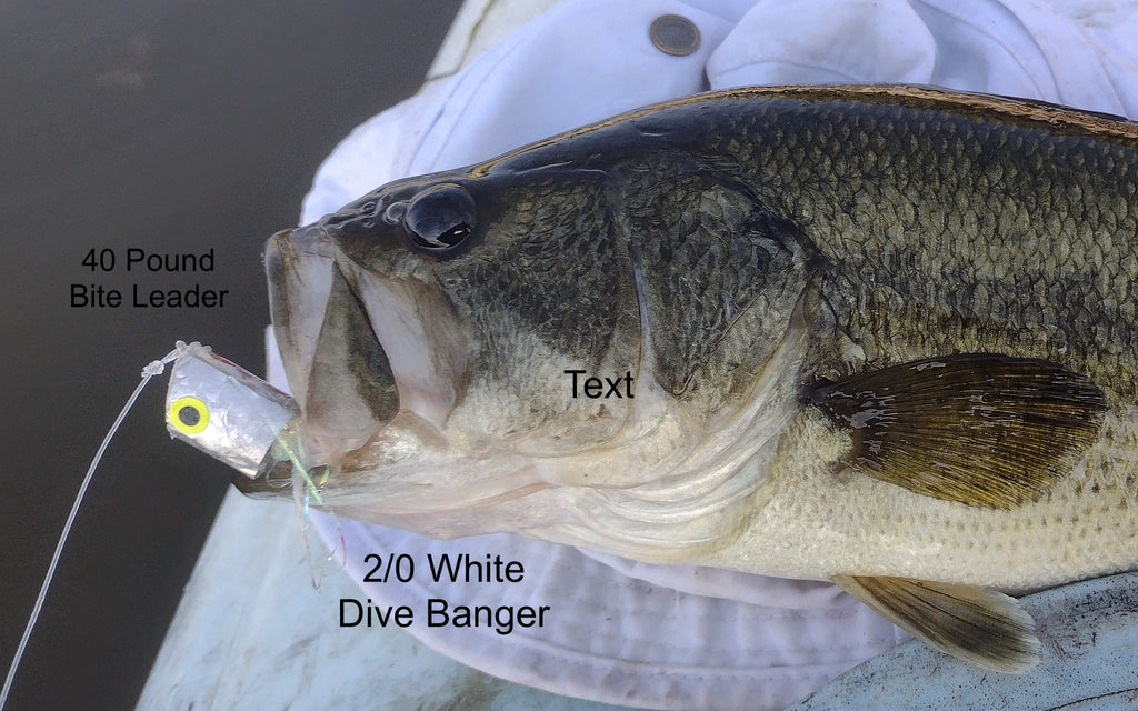 Fly Fishing Lake Erie Marsh Topwater Bass, Pike 5/23/24