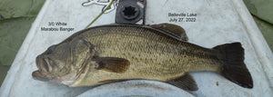 Belleville Lake LargeMouth on Poppers, July 27, 2022