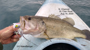 15) Bass & Pike on Popper Pattern North Channel, August 16