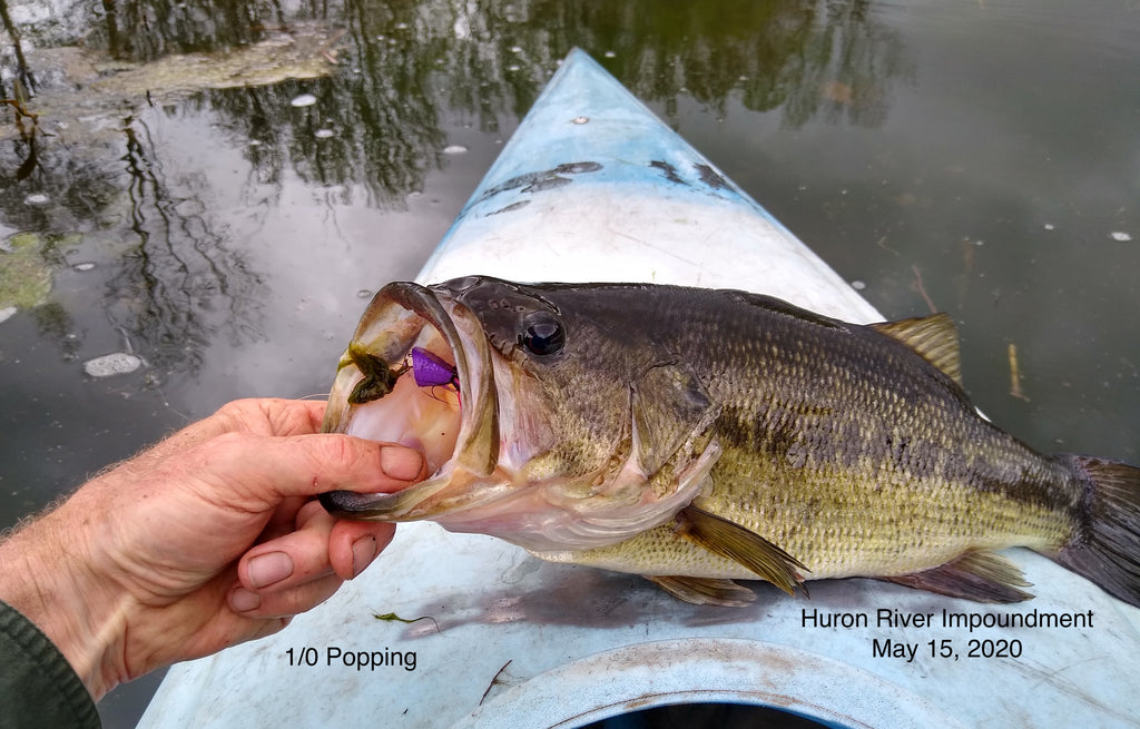 5) Popping Wedge Pattern & Sterling State Park Bass, May 22