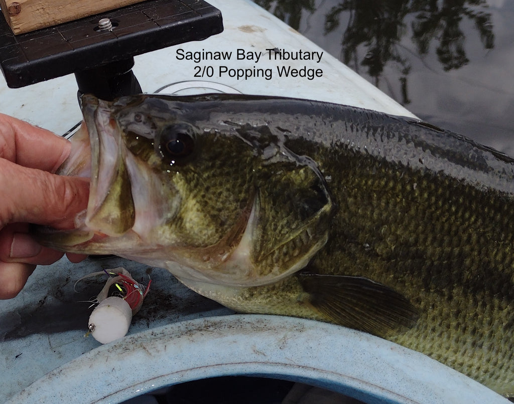 Poppers for Saginaw Bay Tributary Large Mouth