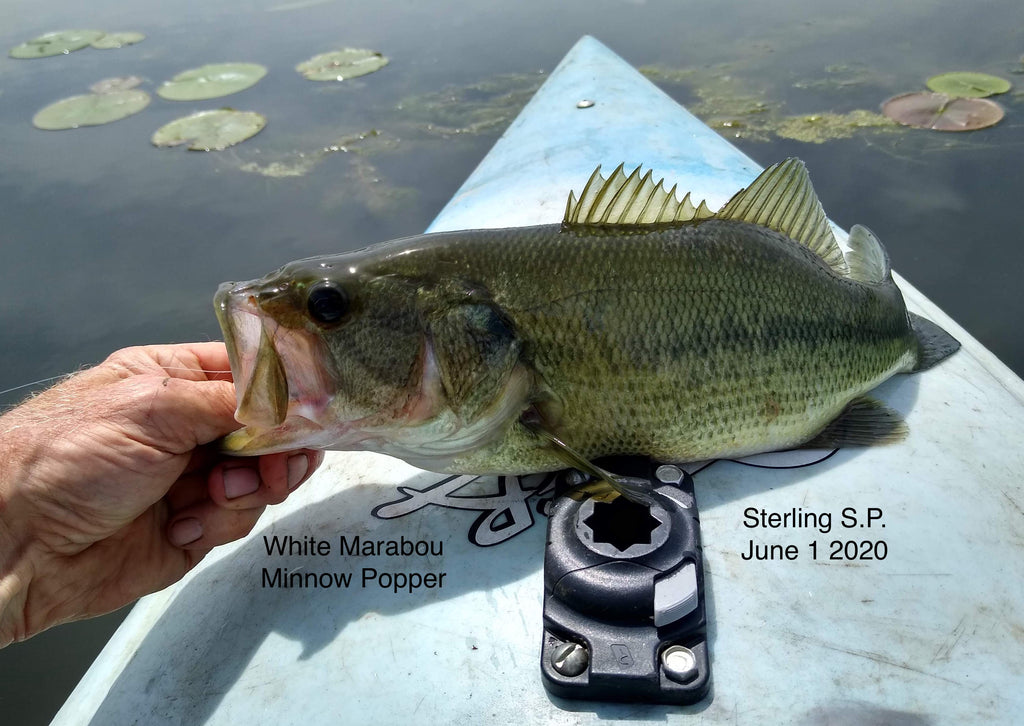6) Marabou Prototype Bob's Banger Pattern on Sterling State Park Bass