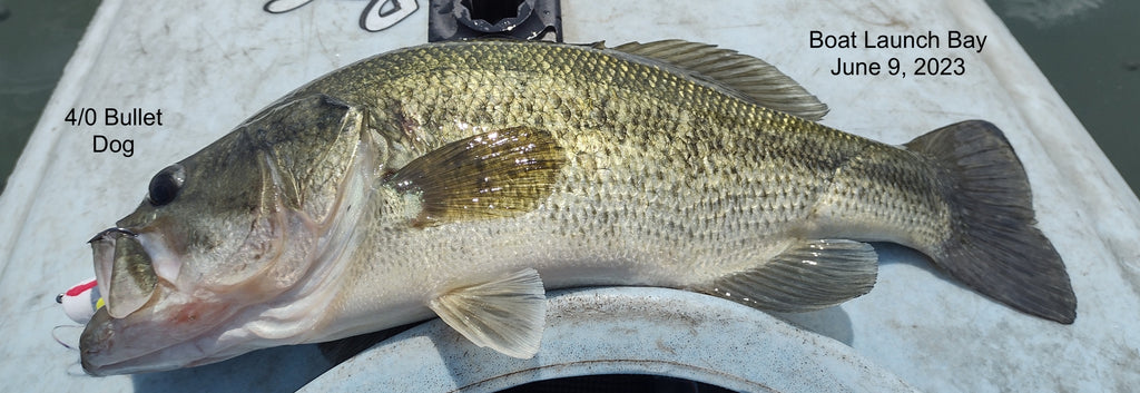 Kayak fishing for Bass with Top Water Poppers, Divers 6/9/23