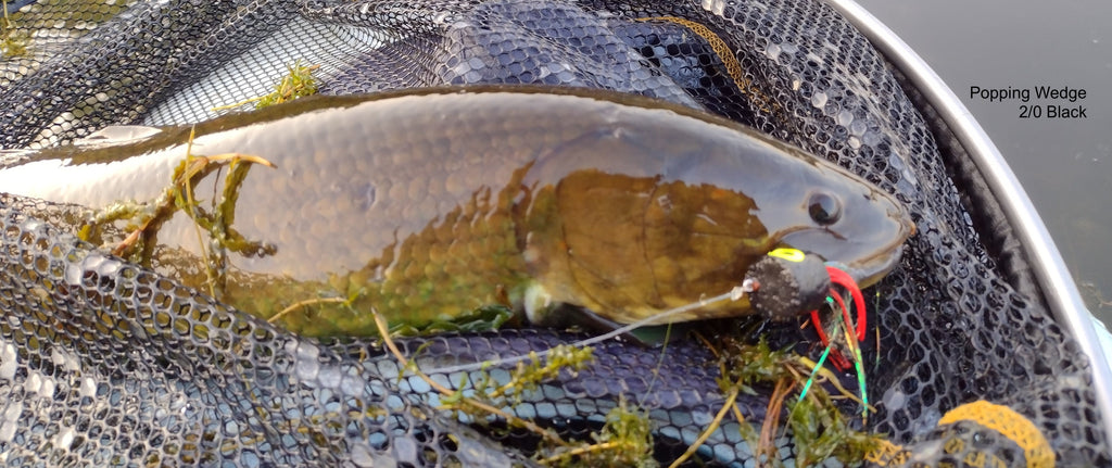Michigan River Mouth Lake for Bass & Bowfin