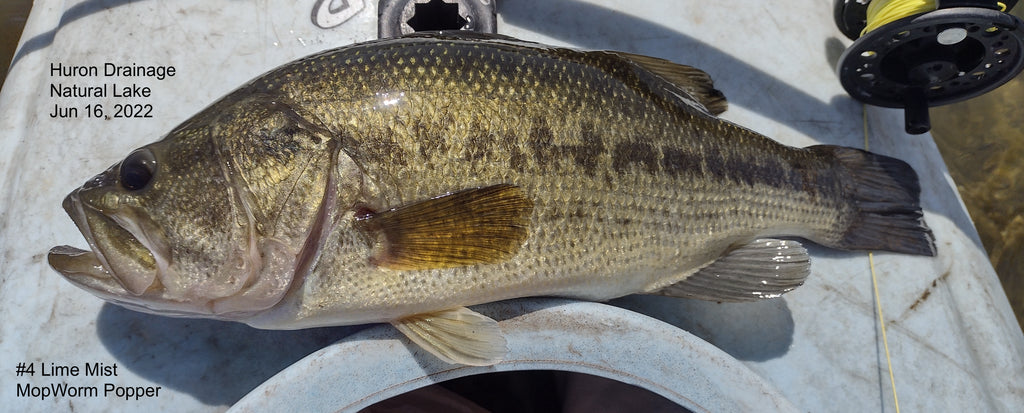 Pristine Natural Lake BlueGills & Bass, June 16, 2022