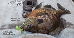 Big Bass & Pike feeding, Choker Trial, July 16, 2021