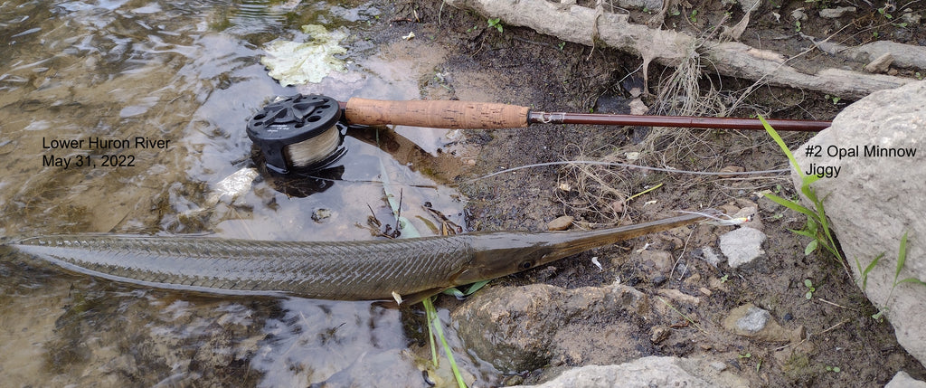 Lower Huron River, Gar and Crappie Running, May 31, 2022