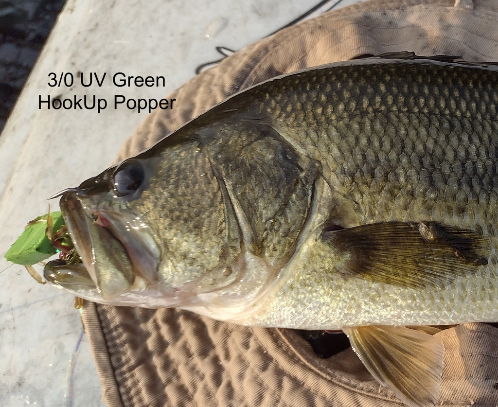 HookUp Poppers in Heavy Weed Cover, Bass, Pike August 19