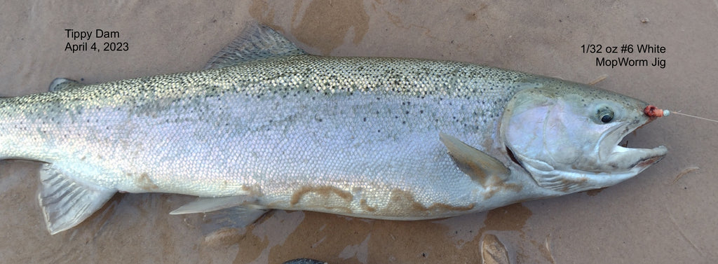 Beads & Jigs With Wax Worms for Tippy Dam Steelhead