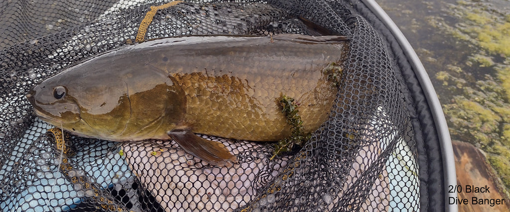 Bowfin Quest, Bass & Pike in small  River Mouth Lake.