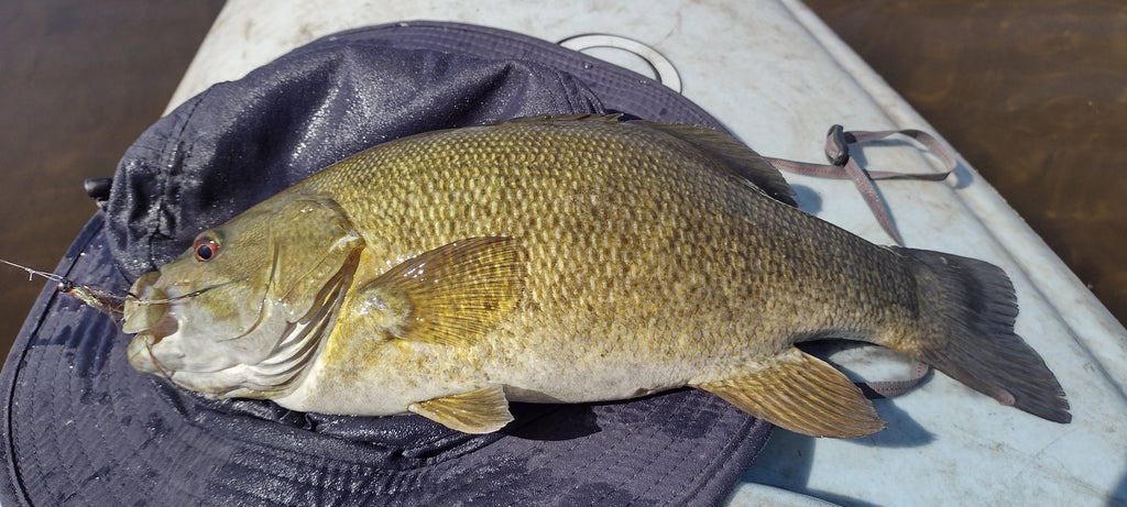 MFFC Michigan Thumb Smallmouth Outing, Small Clear Creek