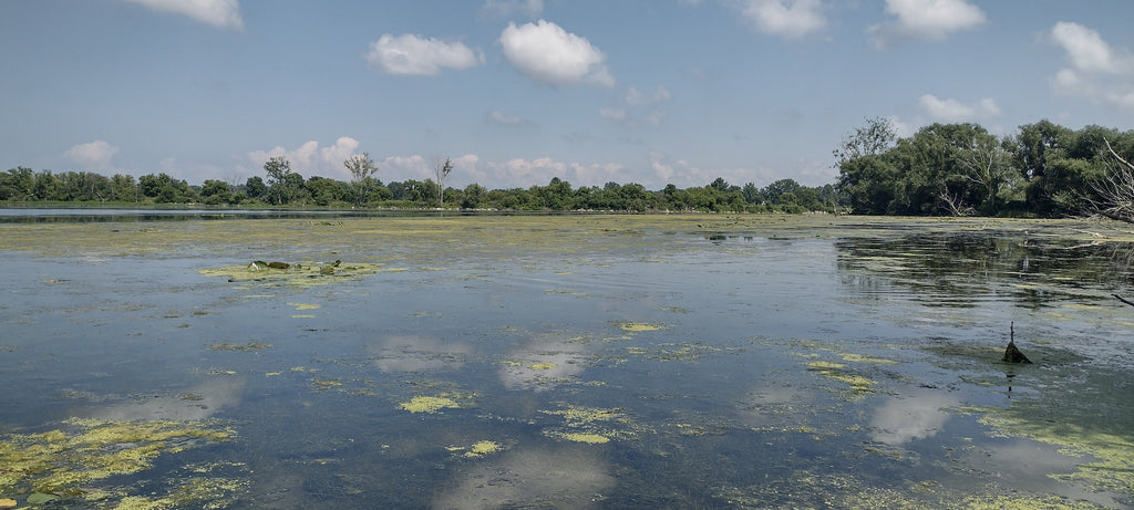 Kayaking Saginaw River Tributary Bass on Poppers