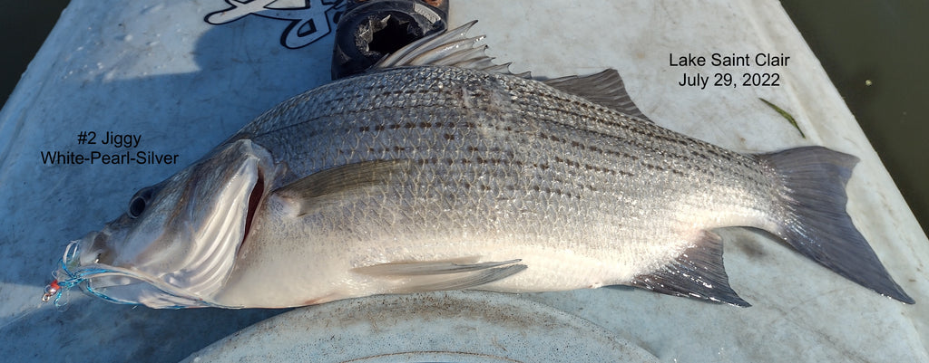 Clinton Spillway Bass, White, Large and Smallmouth