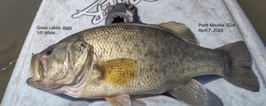 Small Pike and a Bass Kayaking at Point Mouillie SGA