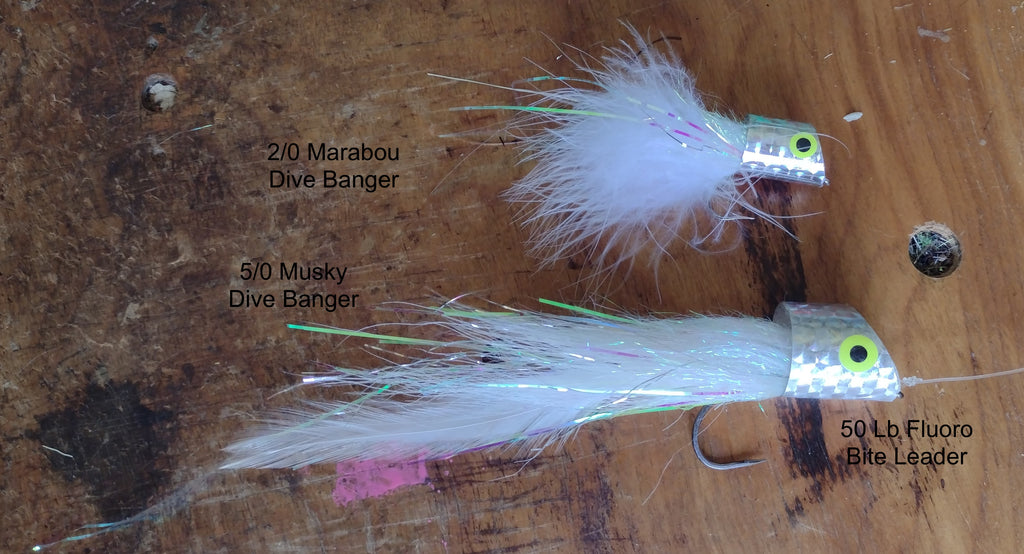 Big Bowfin and Musky Hooked Kayak Fly fishing with Poppers