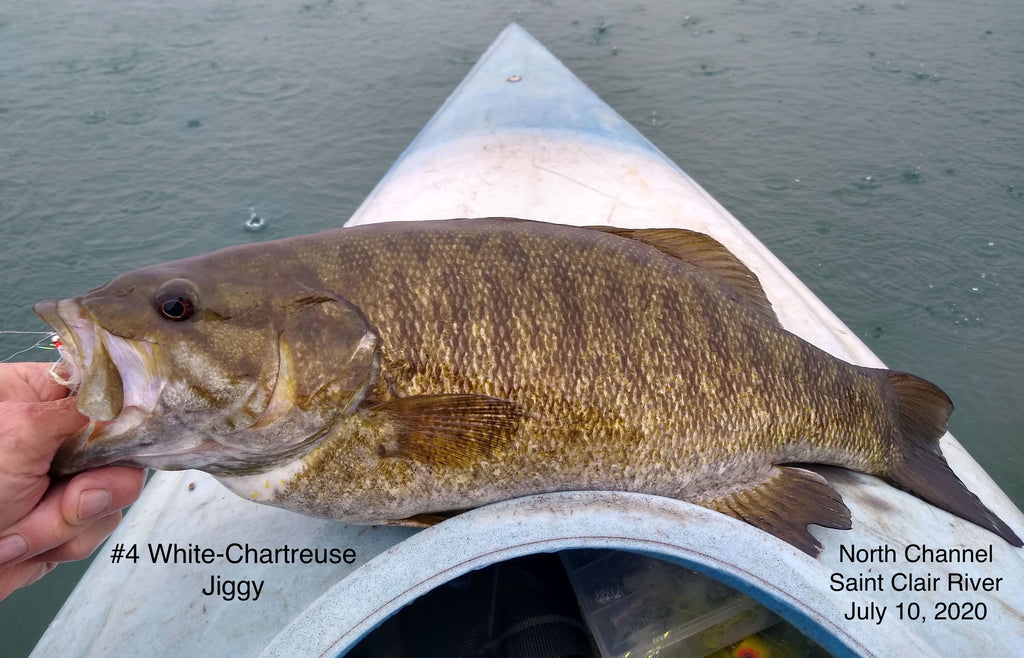 10) St Clair River Bass, maybe a Musky, Popovick's Popper Pattern RULES July 10