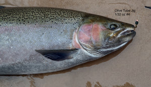 4 Tippy Steelhead on New Tube Jig Leech, January 19, 2023