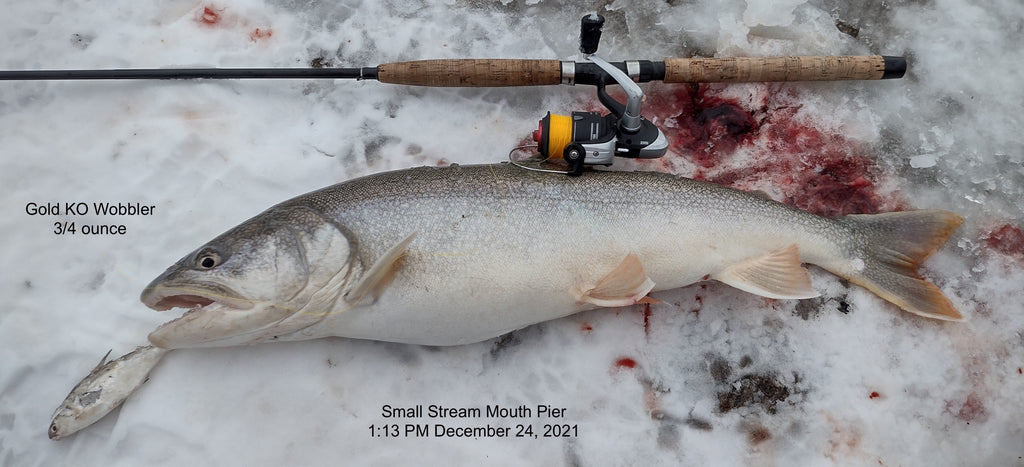8 Lake Trout on Sppons off Pier, December 24, 2021