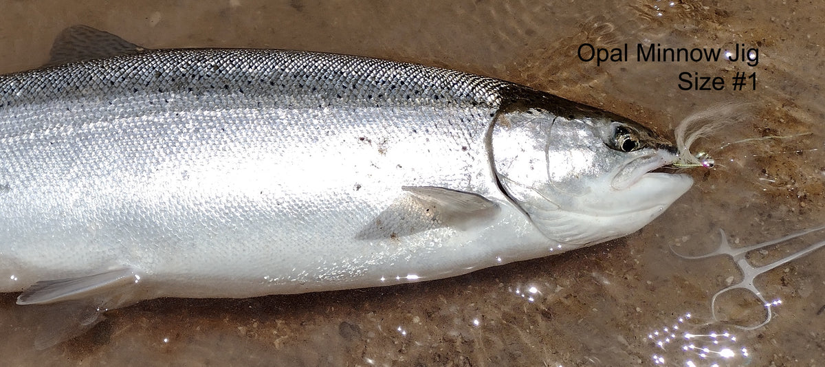 Summer Run Steelhead June 13, 2023 – Eggman Flies & Supplies