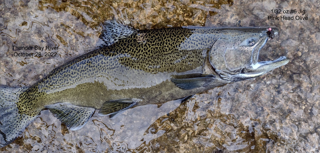 Fall Salmon Summary, Jig Patterns and Bead Colors