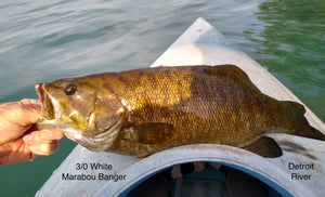 11) Popper Pattern for Detroit River Smallmouth, July 17