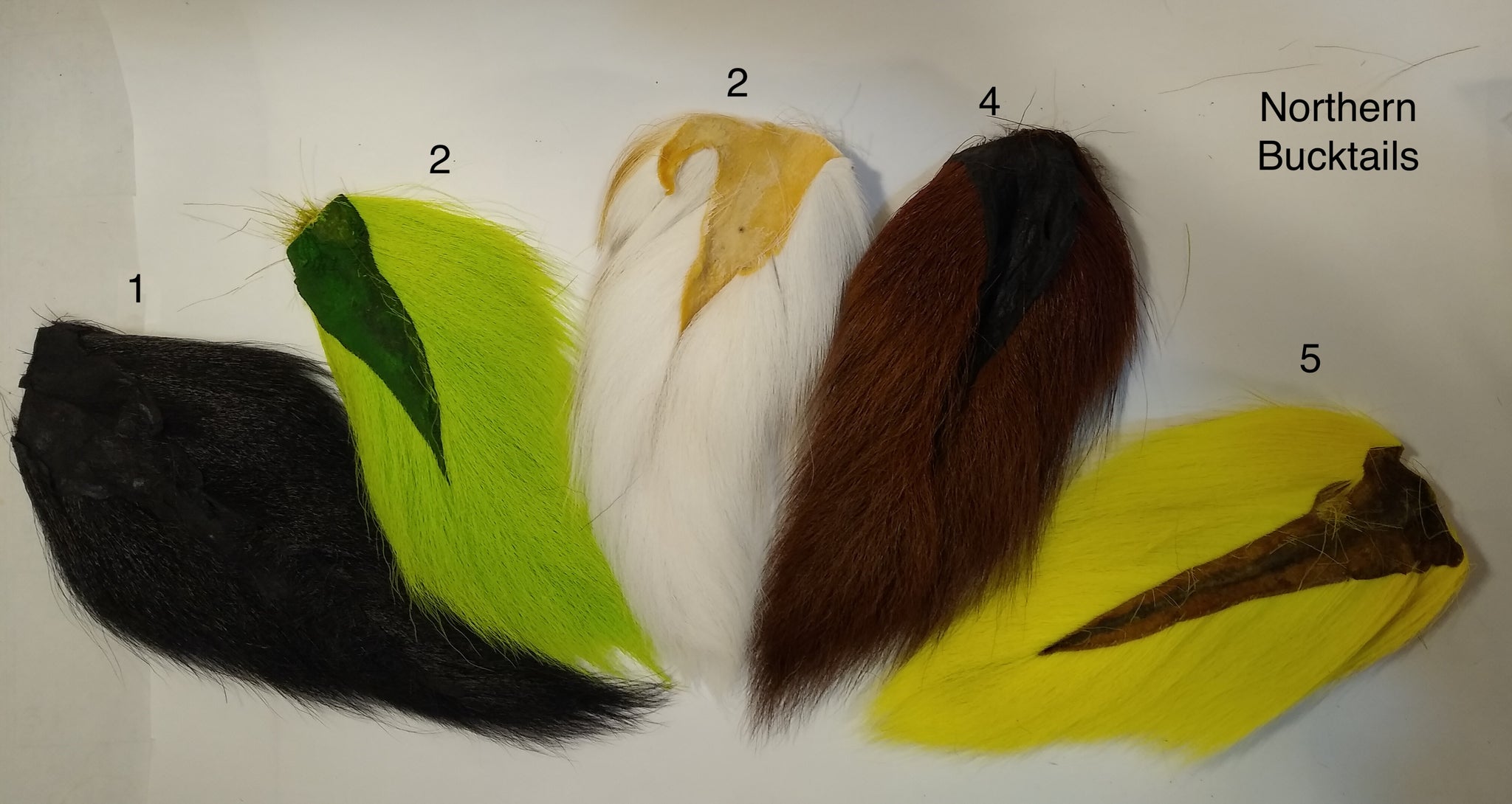 Large Northern Buctails Dyed & Natural