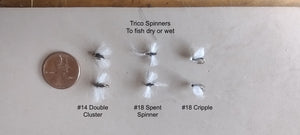 Trico Dry Fly Patterns